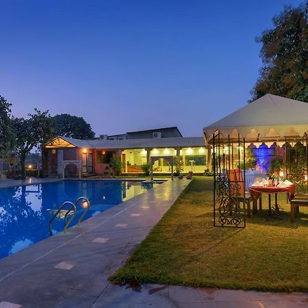 Treehouse Amaara A Boutique Hotel Jodhpur  Ngoại thất bức ảnh