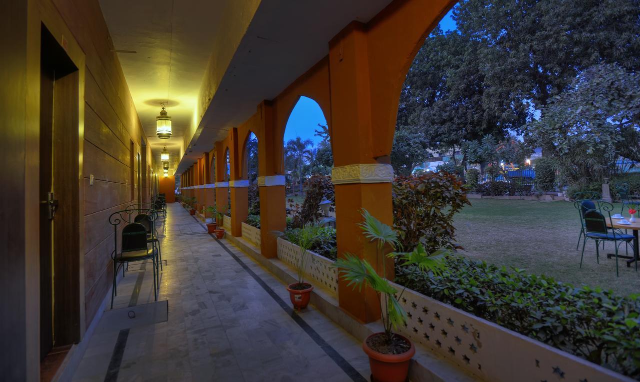 Treehouse Amaara A Boutique Hotel Jodhpur  Ngoại thất bức ảnh